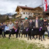 Schafausstellung Tiroler Bergschaf  (33)